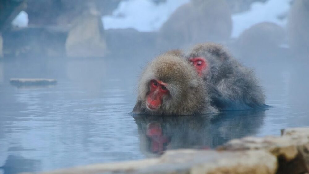 「街ごと旅館」って、どういうこと？